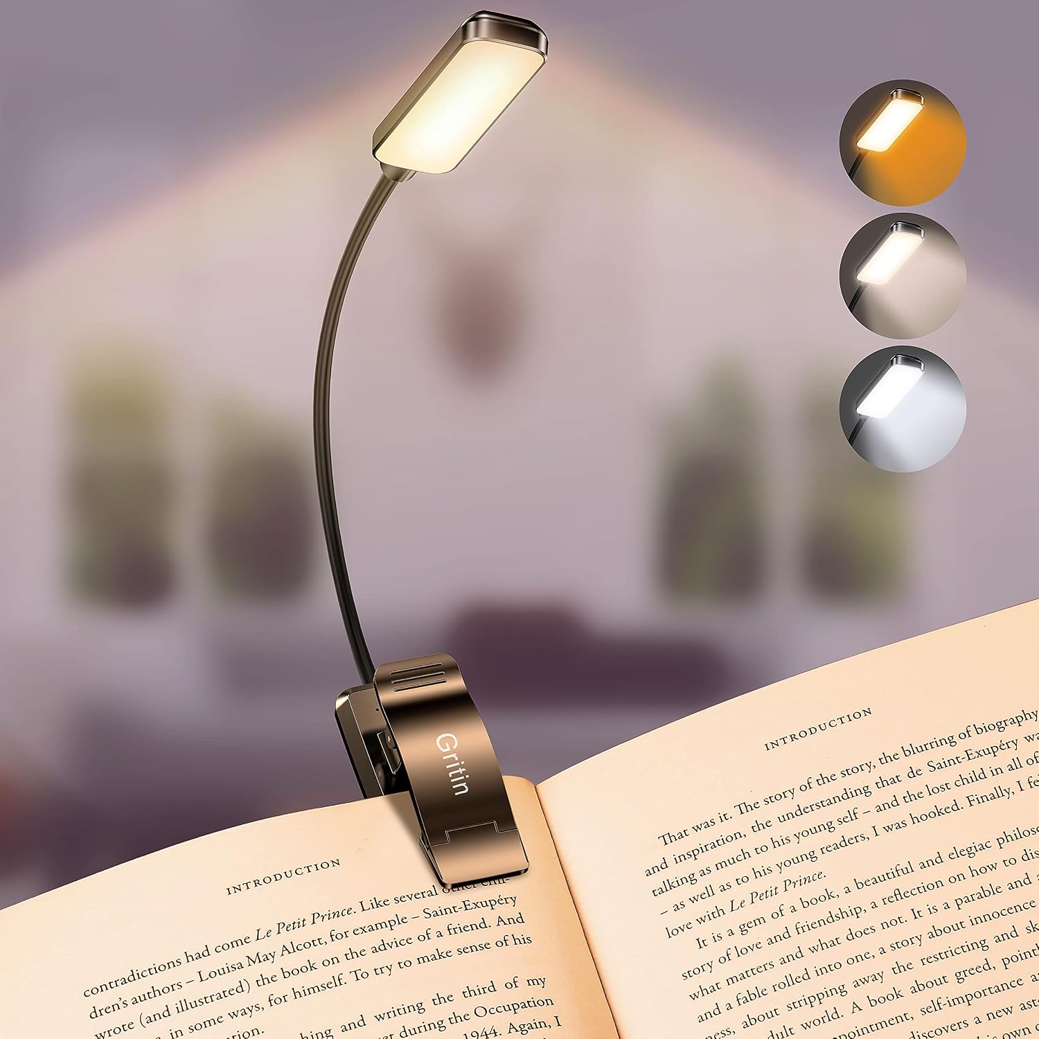 Gritin 9 LED Rechargeable Book Light, Black
