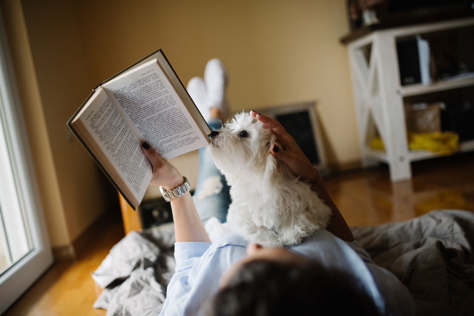 A person reading a book at home beside a dog